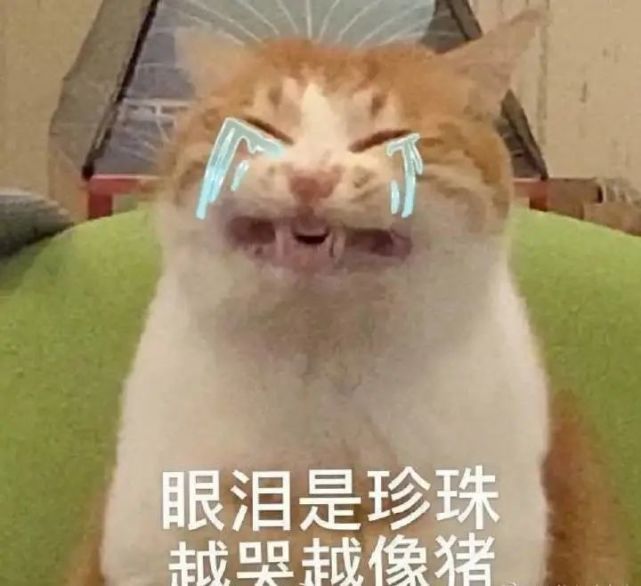 得,一句话总结了 有人宠的就有恃无恐呗 没人宠的只能自己想办法 撒娇
