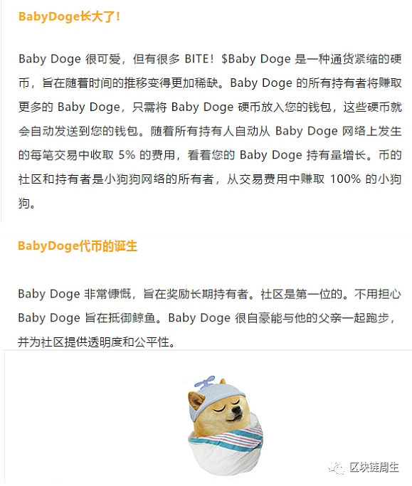 babydoge宝贝狗是一级市场项目?