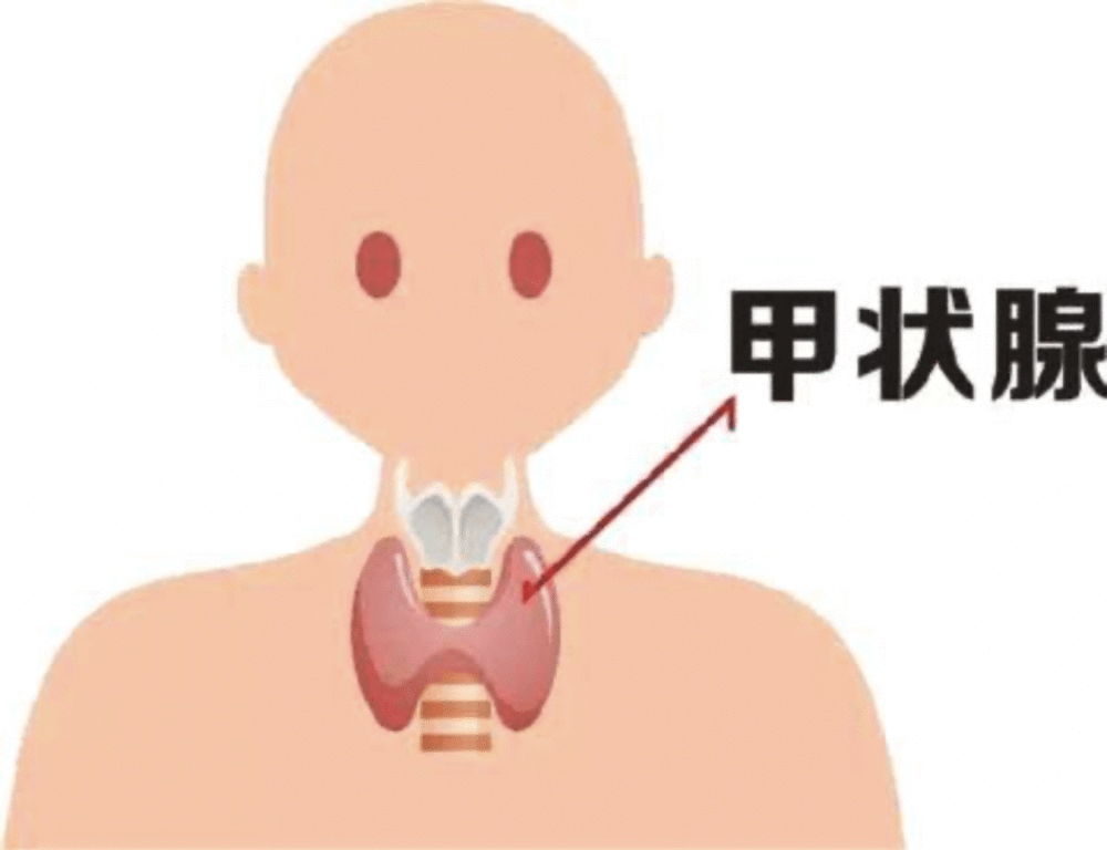 甲减的症状有哪些看似只是睡不醒的它其实还和这些疾病有关系