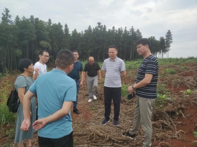 上高县政协副主席,县级林长杨春生到责任区开展巡林