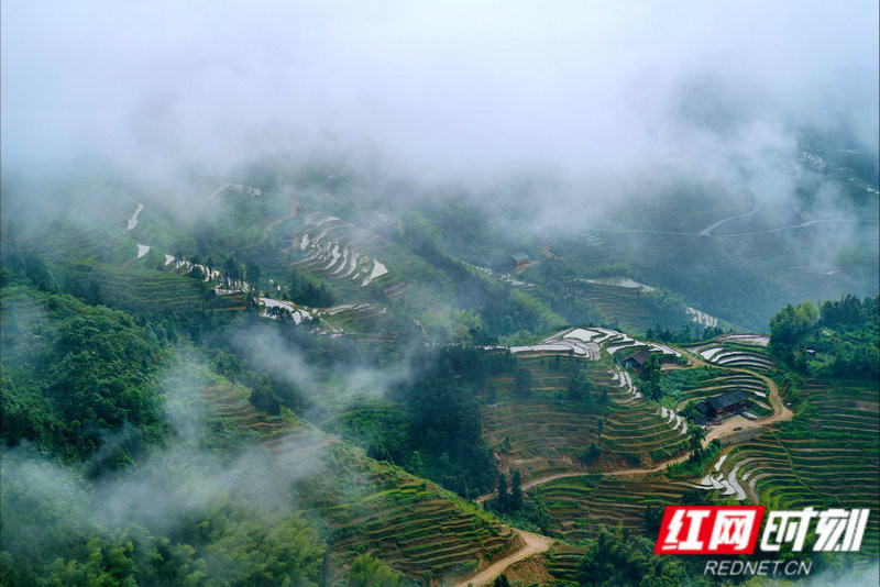 娄底市新化县的紫雀界梯田,在这里,山有多高,田有多高,水就有多高