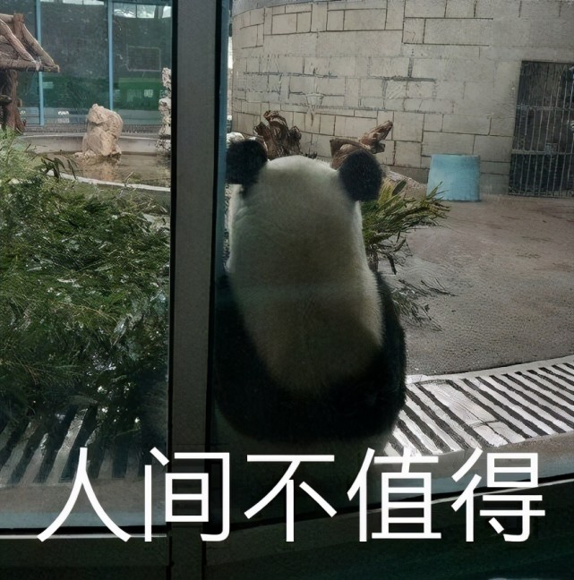 发朋友圈让男神注意到你的沙雕文案