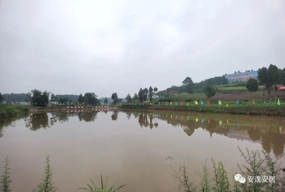 今天,毗河供水一期工程正式通水!供水区覆盖遂宁安居