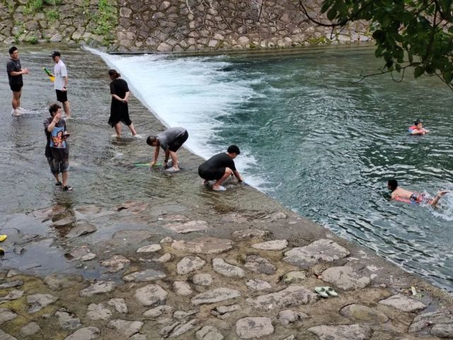 【绍兴·图说】平水王化,这边风景独好