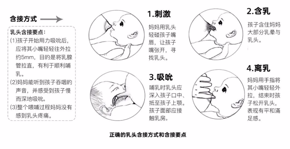 人工喂养宝宝吃奶时更不能平躺,应取斜坡位,奶瓶底高于奶嘴,防止吸入