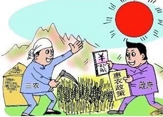 青田县农村信用合作联社：扎根乡村的金融之树