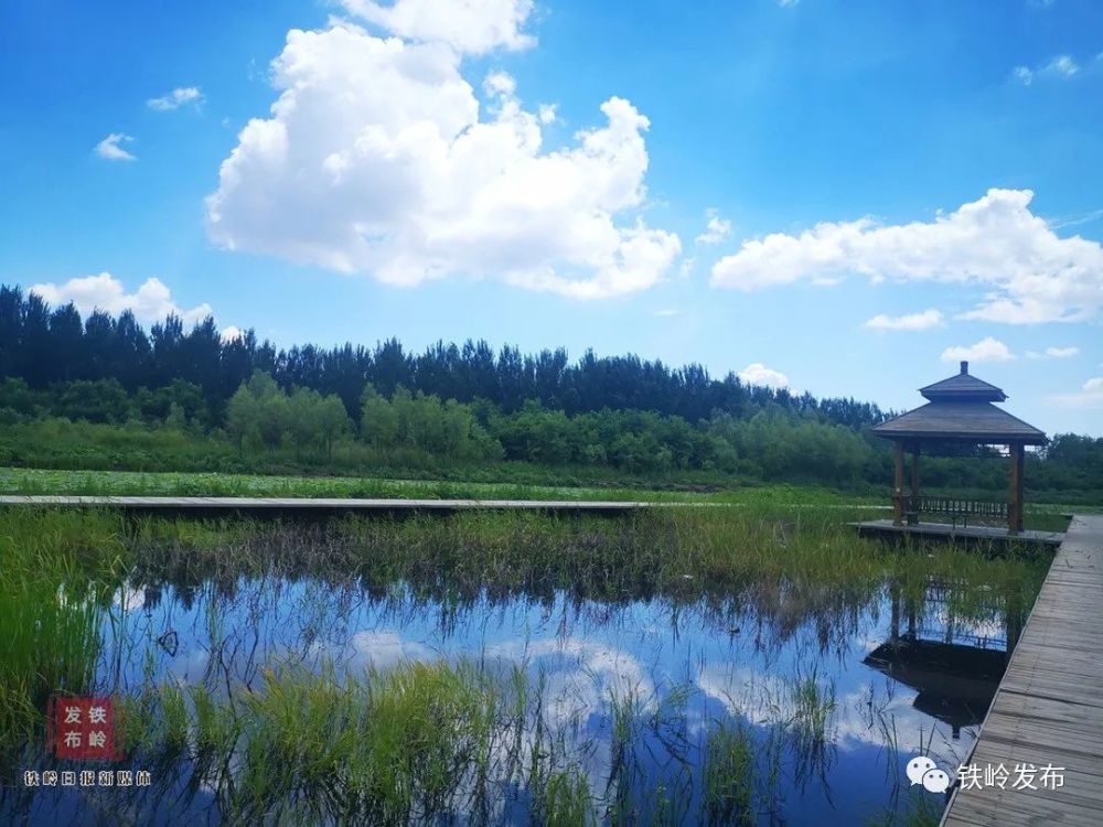 绿水青山|家乡美景看这里!