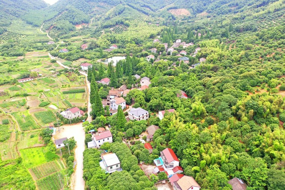 宁波市余姚市牟山镇有个村庄,名叫姜山村,为什么叫姜山村呢?