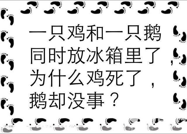 6道脑筋急转弯:答对一半是人才,全对是天才!你答对了几个