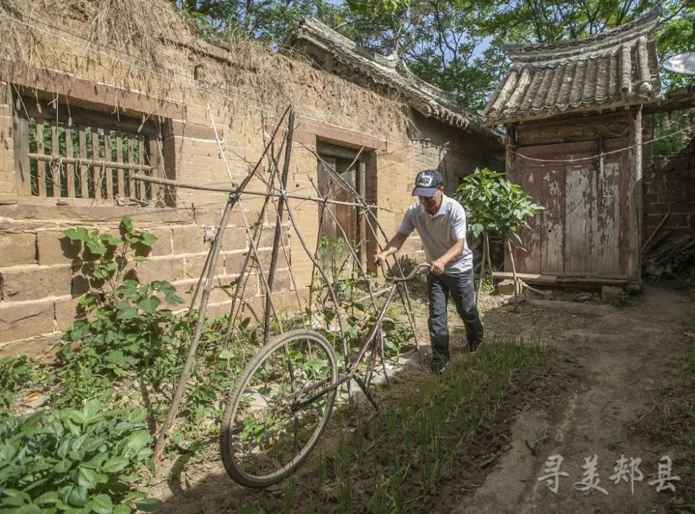 【寻美郏县】郏县安良镇山头张村