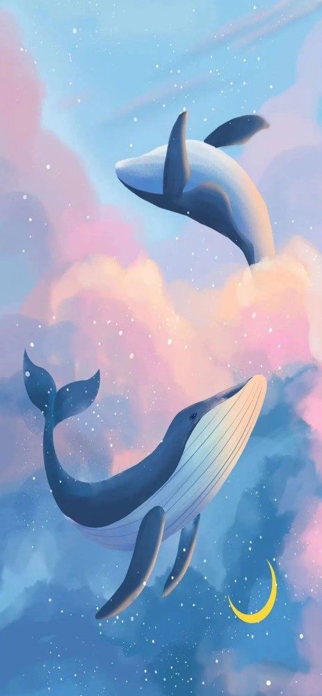 手机壁纸|鲸落是鲸鱼留给大海最后的温柔