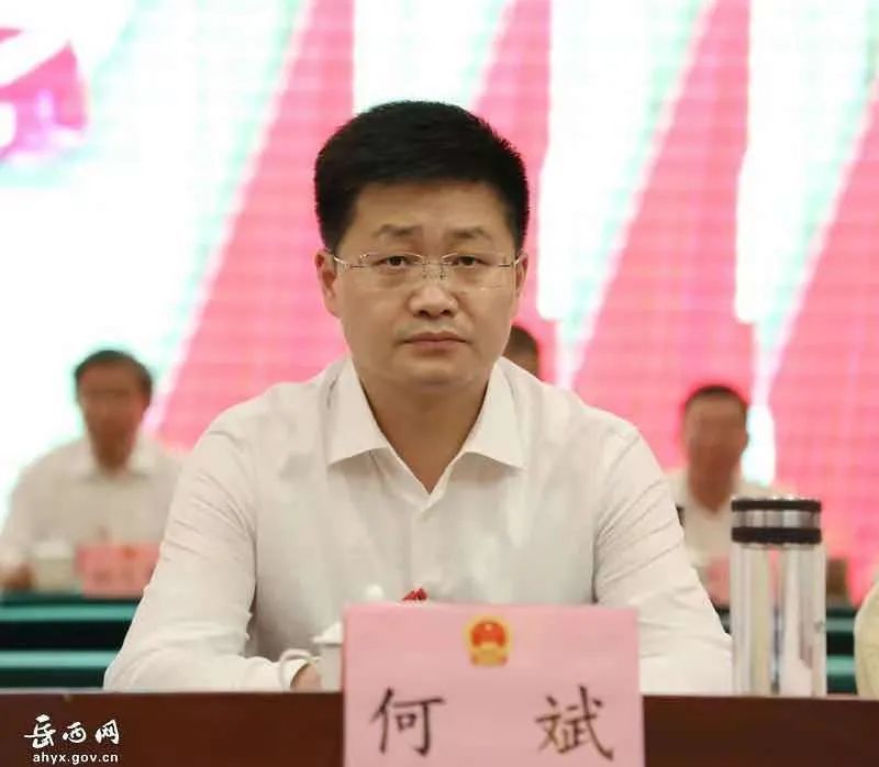 余飞,昂朝坤,储爱华当选为岳西县人民政府副县长
