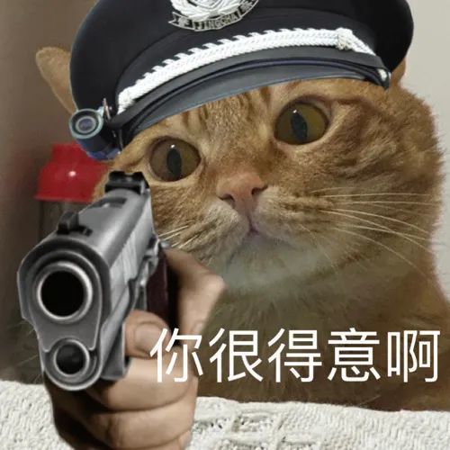 蕉太狼猫猫警察系列表情包