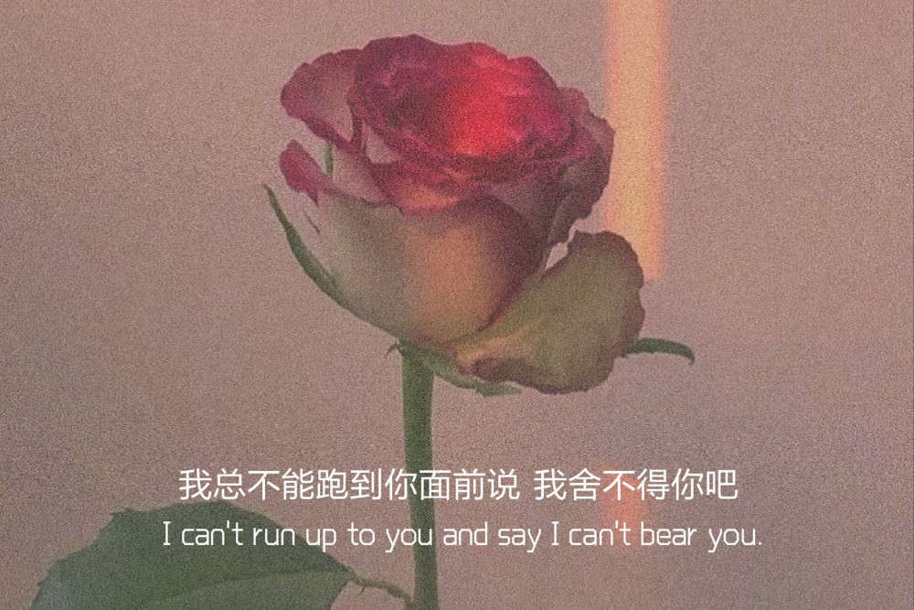 伤心失望,无能为力的文案