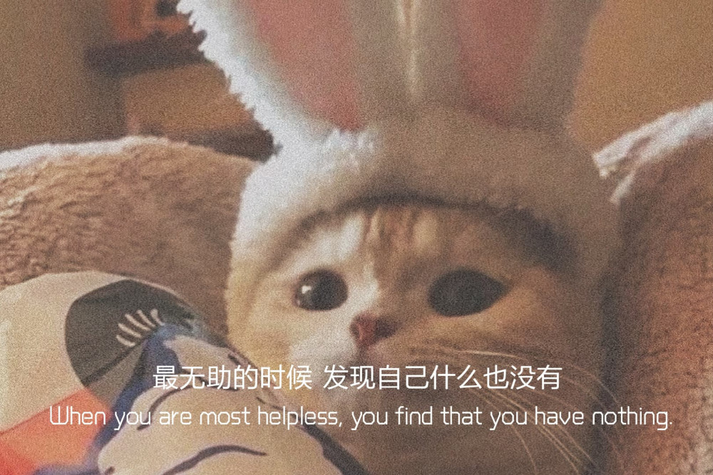 伤心失望无能为力的文案