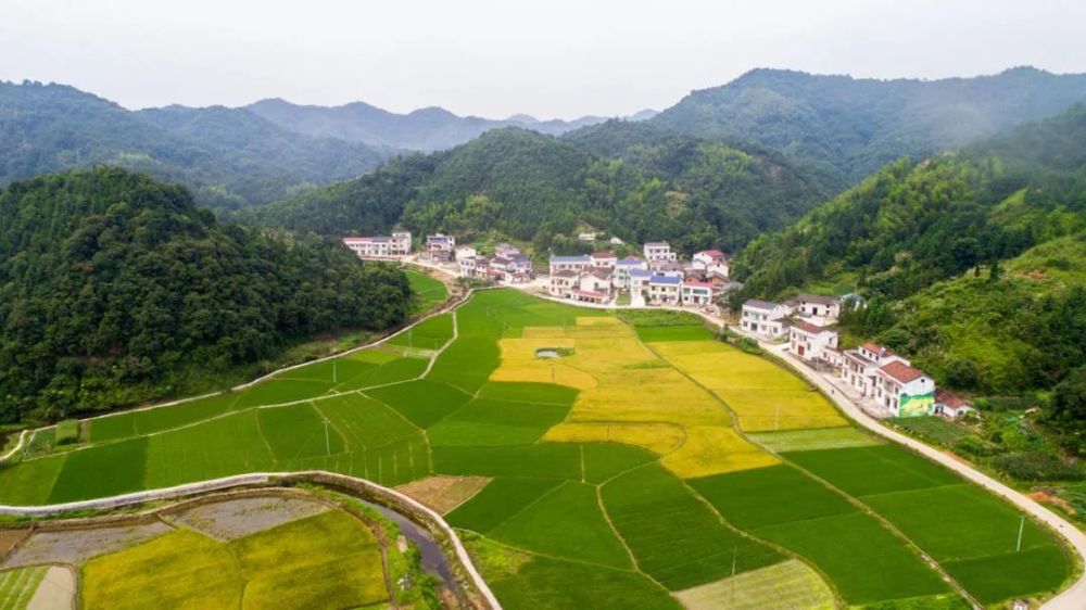 喜报!平江县余坪镇荣获岳阳市文明村镇