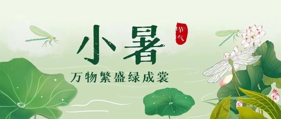 小暑介绍