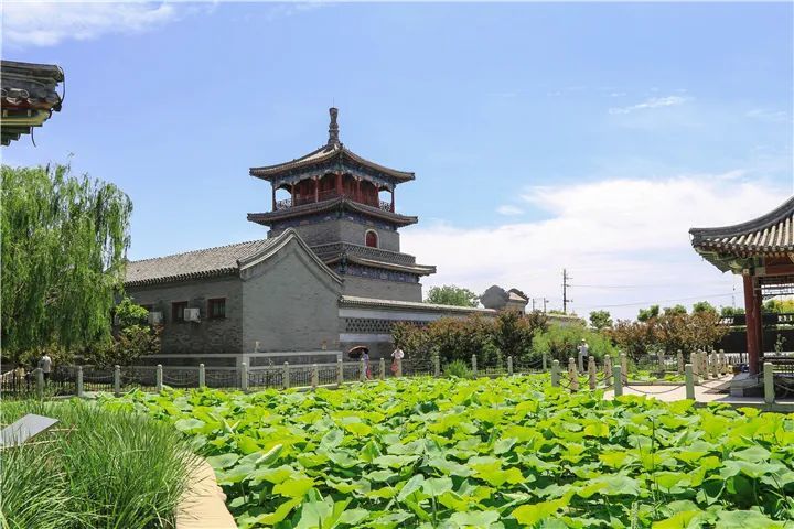 影像记录丨河北霸州胜芳镇:湿地公园水清岸绿景美