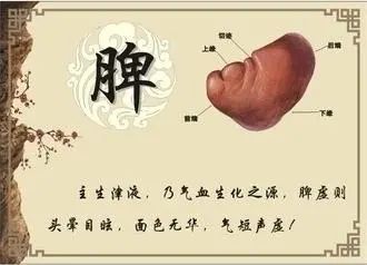 这种"祛湿补脾"阻断湿邪!