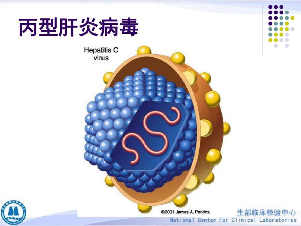 丙型病毒性肝炎是怎么造成的王远主任带你了解造成丙型病毒性肝炎3