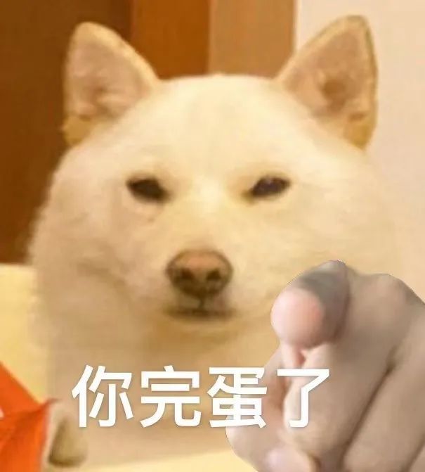 柴犬指人表情包|狗狗表情包