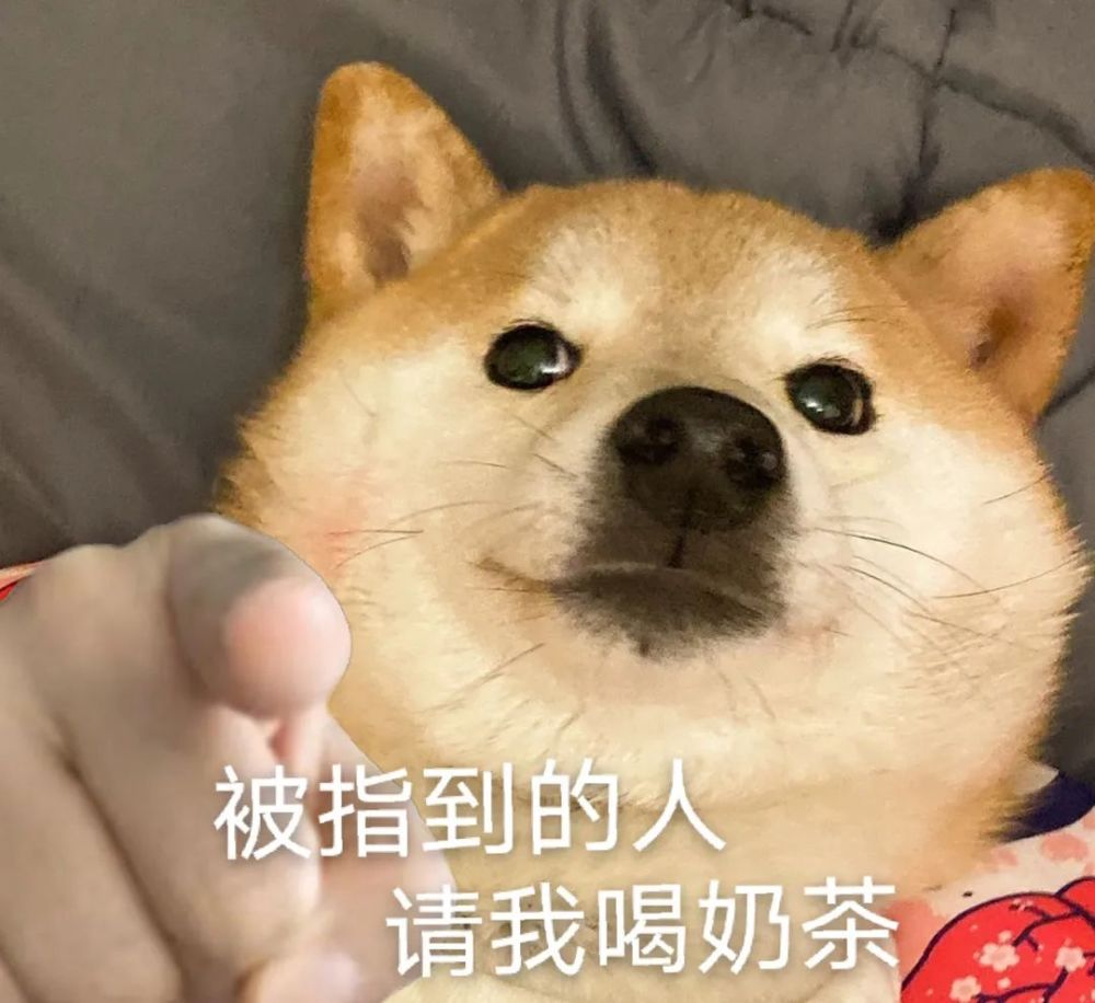 柴犬指人表情包狗狗表情包