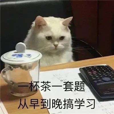 超级爆笑的考前复习表情包