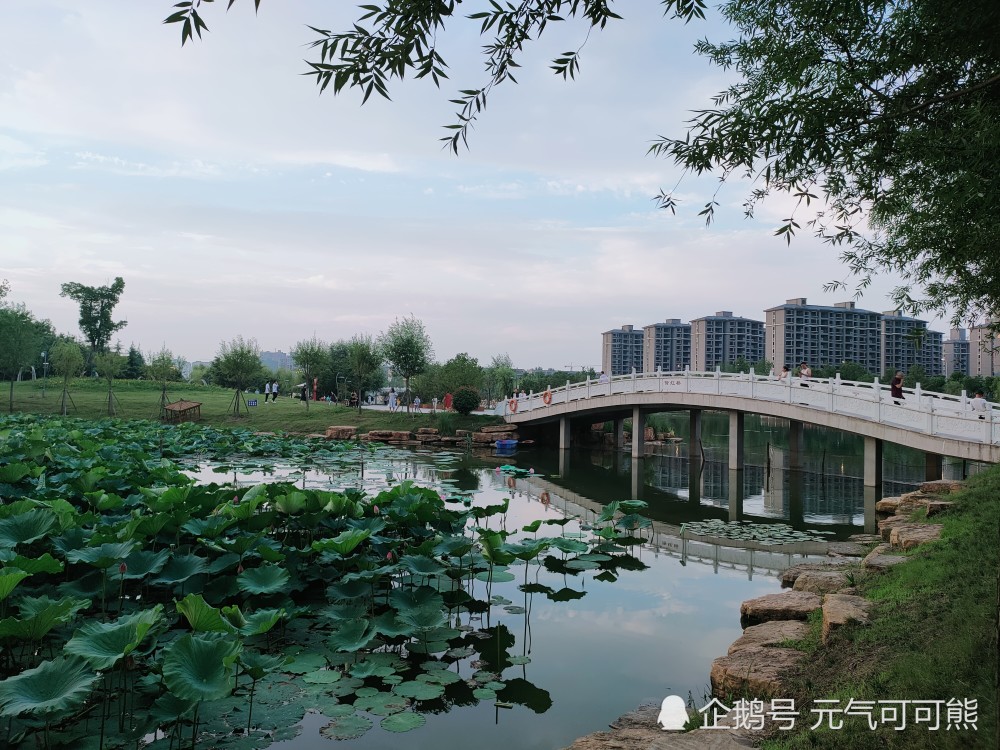 信阳息县龙湖公园