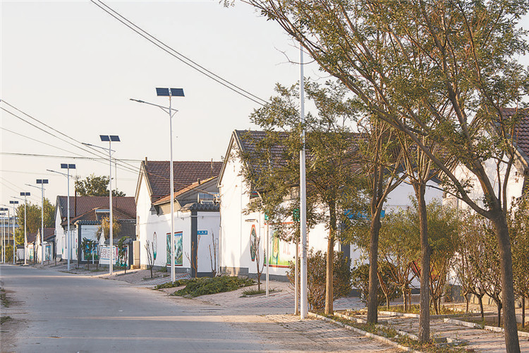 图为香河县五百户镇九百户村美丽乡村建设街景.