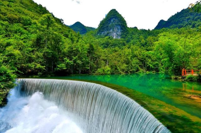 选美中国|中国最美十大森林,个个都是仙境