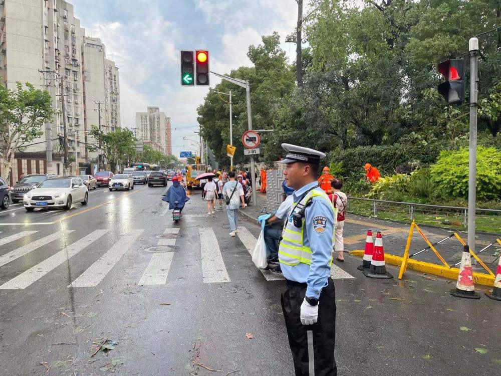 暴雨大风刮倒大树"殃及"红绿灯,上海警方紧急救援