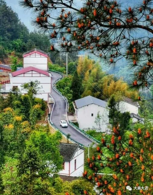 彭水苗族土家族自治县善感乡周家寨村 45.万盛经开区黑山镇北门村 46.