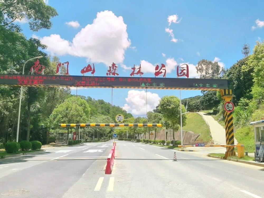 东莞凤岗南门山森林公园,依然是那么静谧,游客稀少,只有零星的几个