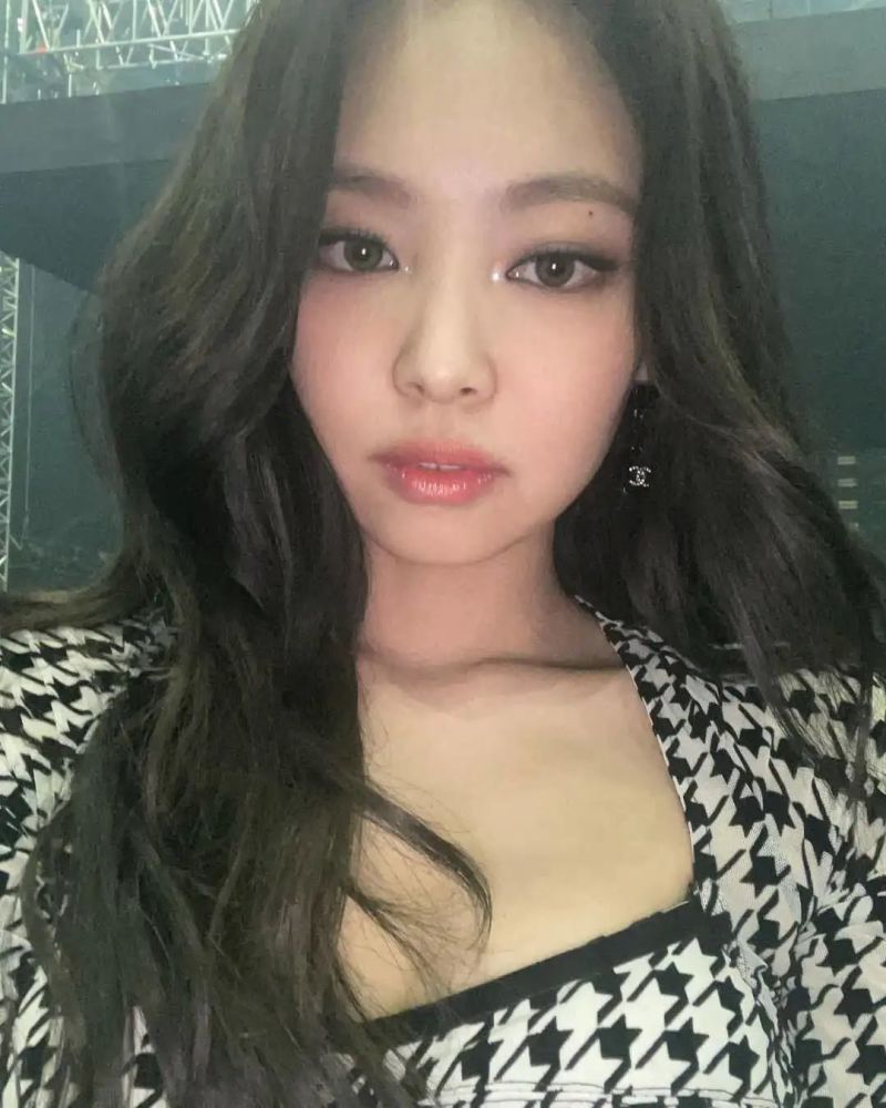 金智妮jennie|怼脸鲨