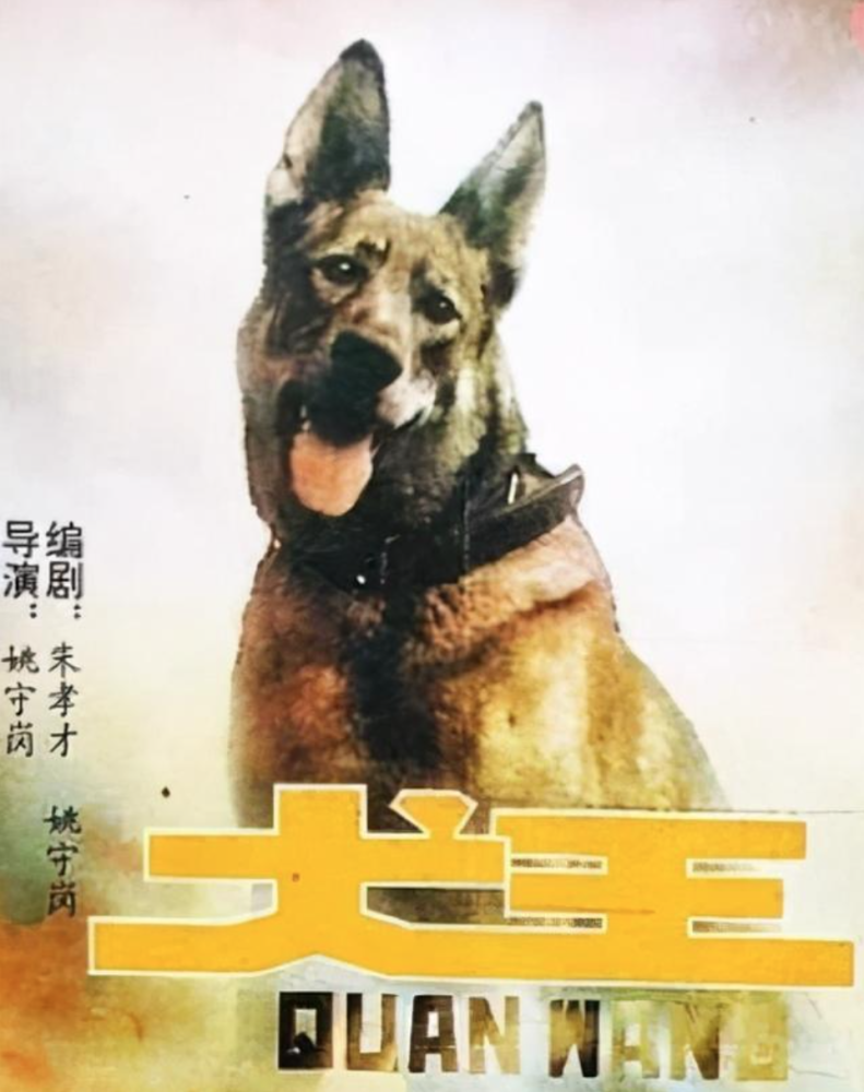 《犬王》导演为了电影效果炸死军犬,网友怒了,太残忍了