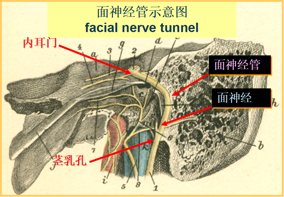 普陀医生提示…_腾讯新闻