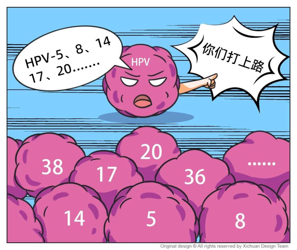 hpv-16,18,30,31,33,35,39,45 主要与宫颈癌,直肠癌 口腔癌,扁桃体癌