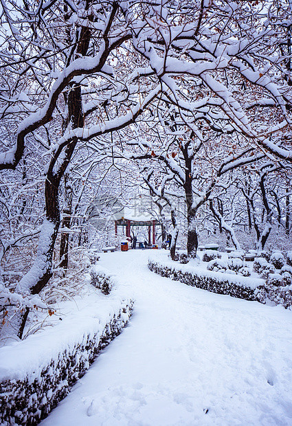 今日分享一组唯美雪景图