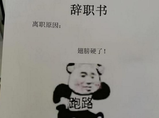 直呼"过瘾解气"辞职信最后,00后员工附上一个"言尽于此,告辞"的表情包