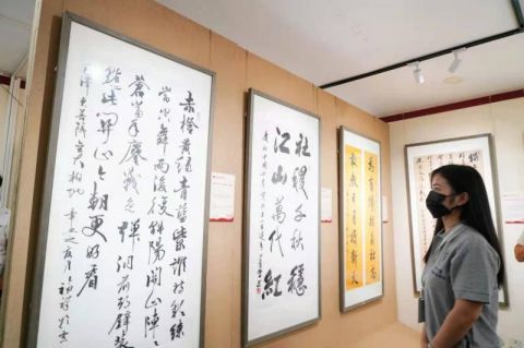 "南湖浪涌驶红船——庆祝建党一百周年书法作品展"在京开幕