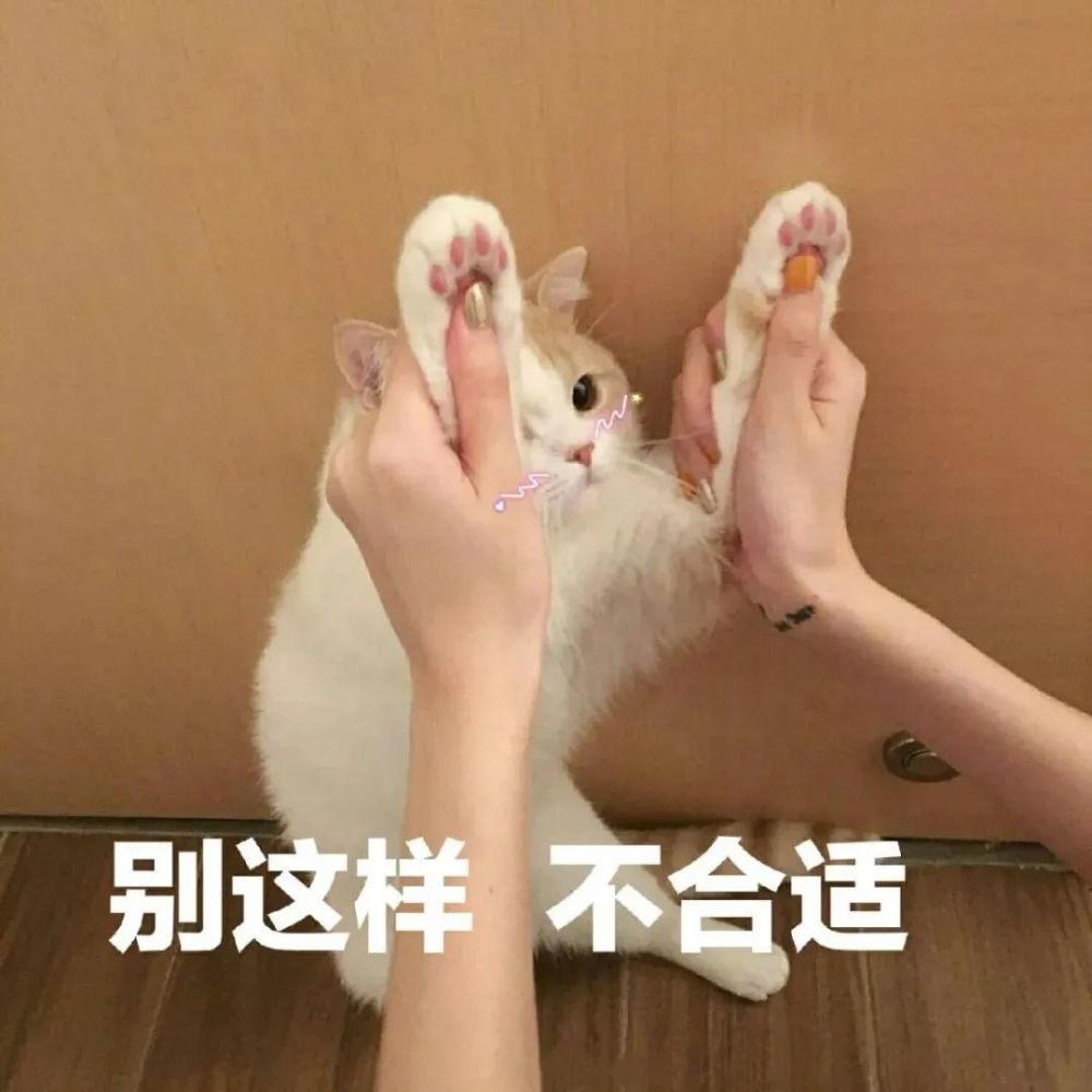 表情包|听说你很牛啊