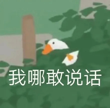 "你找不到的有趣大白鹅表情包"