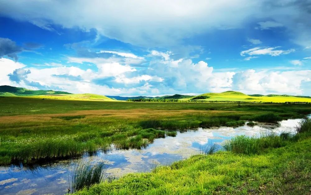 呼伦贝尔大草原是成吉思汗的出生地,也是世界闻名的旅游胜地.