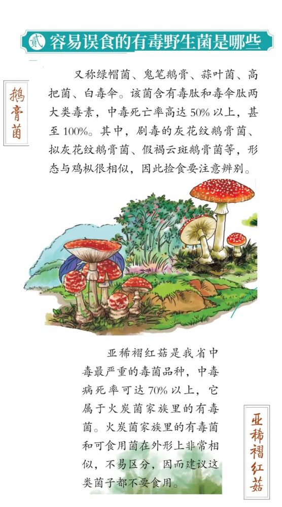 水富人,预防野生菌中毒,这条知识请牢记!