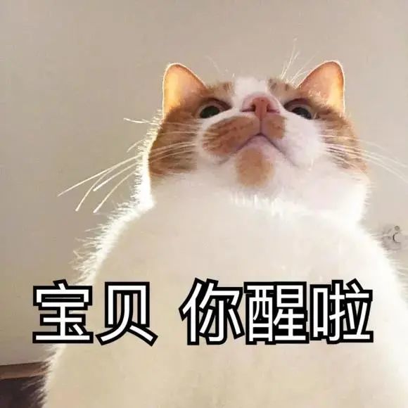 沙雕表情包热图宝贝你醒啦