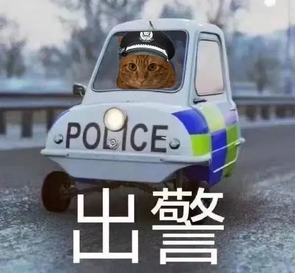 每日表情丨猫猫警察出警