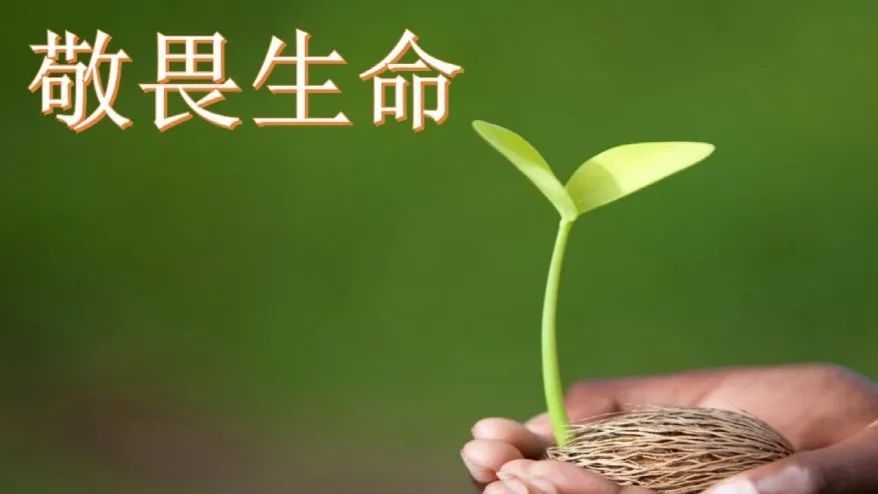 第3期主题沙龙:敬畏生命与守护健康的体育老师
