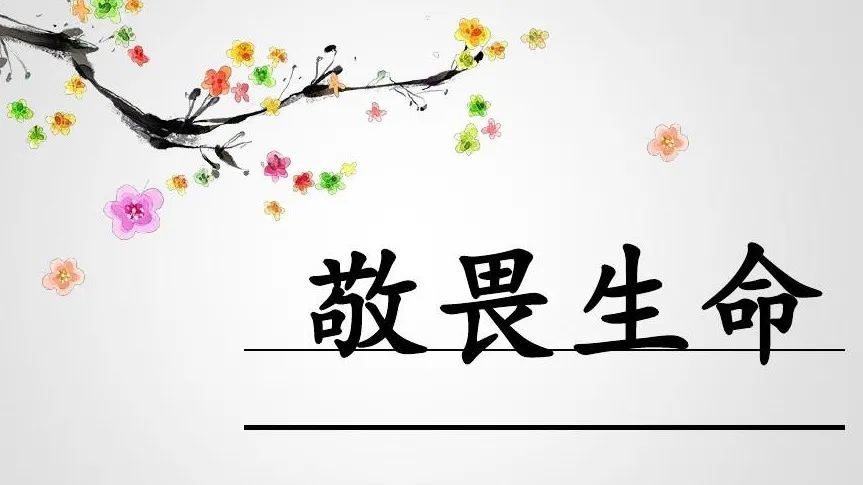 第3期主题沙龙:敬畏生命与守护健康的体育老师