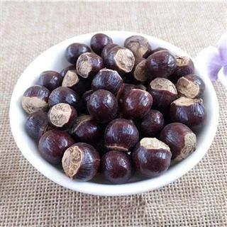 果中龙眼,药中桂圆