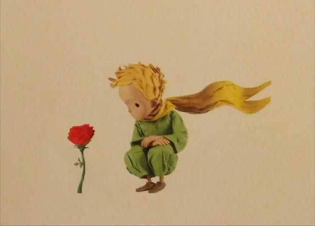 小王子与玫瑰